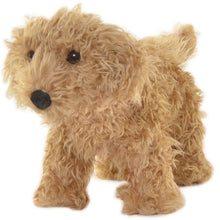 Caramel Labradoodle + Dog House Shipping Box