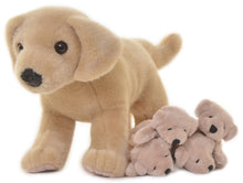 Newborn Puppy