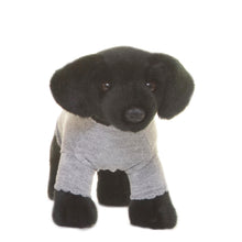 Black Lab + Dog House Box