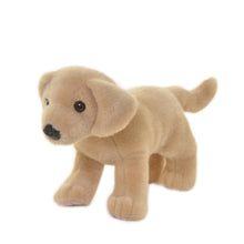 Yellow Labrador + Dog House Box