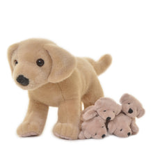 Yellow Labrador + Dog House Box