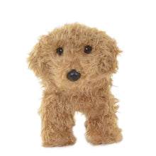 Caramel Labradoodle + Dog House Shipping Box