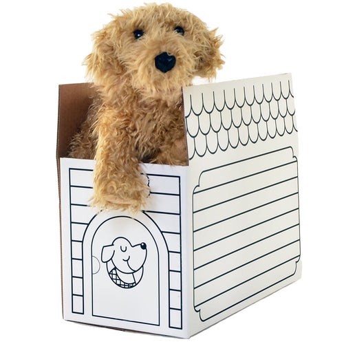 Caramel Labradoodle + Dog House Shipping Box